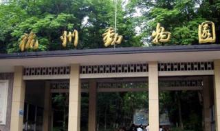 哪个海底世界好玩 杭州海底世界好玩吗