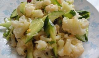 中国达人秀韩红是第几季评委 中国达人秀菜花甜妈